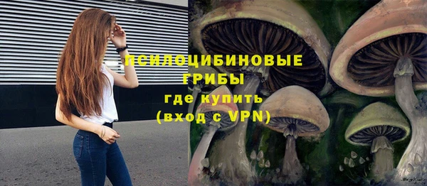 прущая мука Каменногорск