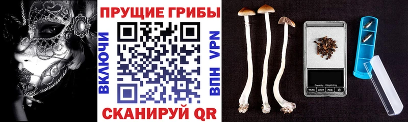 Псилоцибиновые грибы ЛСД  Купить где  Усинск 